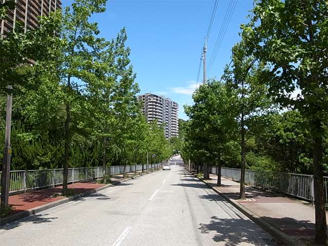 『すみれガ丘2丁目』の近景。街の中を周回するバス通りは街路樹がきれいです。