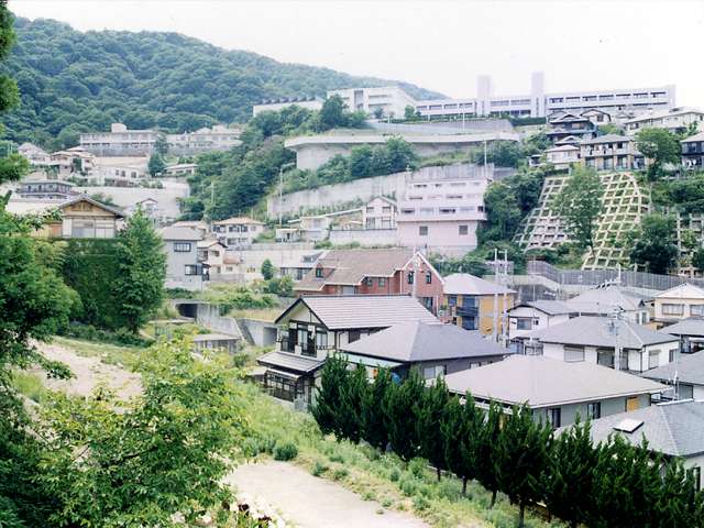 『紅葉ガ丘』遠景。山の緑に囲まれた、自然豊かな住環境です。