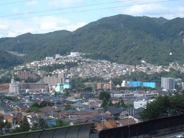 エリアの全景を望む。山手に広がる緑豊かで閑静な住宅地です。