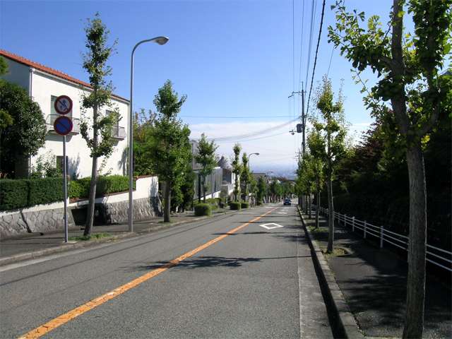 街路樹が美しいタウン内のバス通り。歩道もあり、歩行者にもやさしい街です。