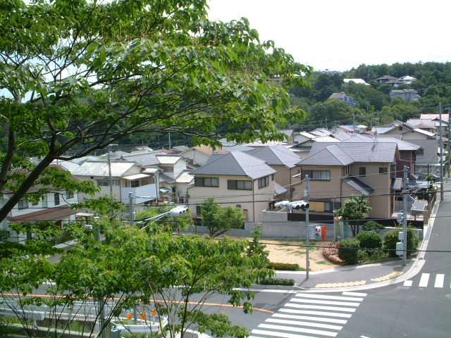 敷地面積45坪〜60坪クラスの一戸建てが中心に建ち並んでいます。