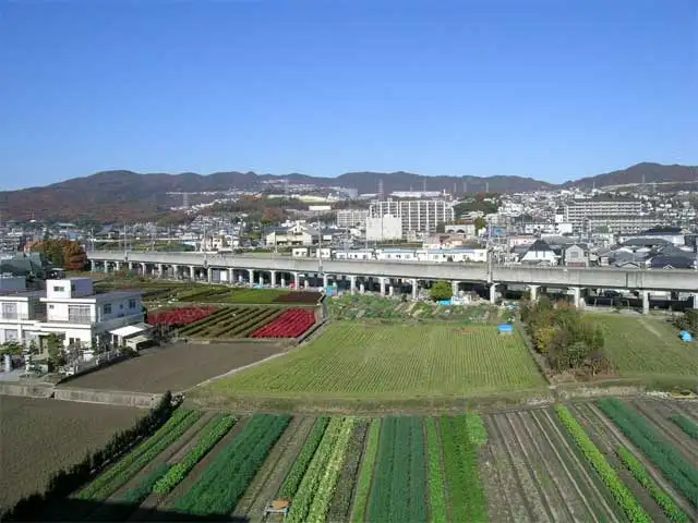 『山本西』近景。田畑が広がる、緑豊かな住宅地です。