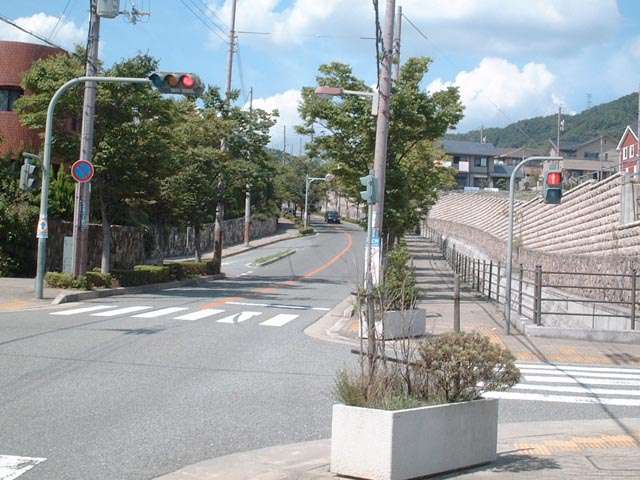 緑が多く植えられている。