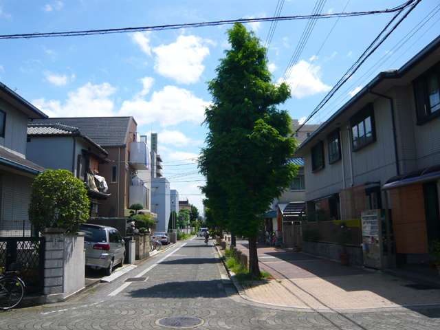 『南塚口町』近景。街路樹が多く、緑豊かな住環境です。