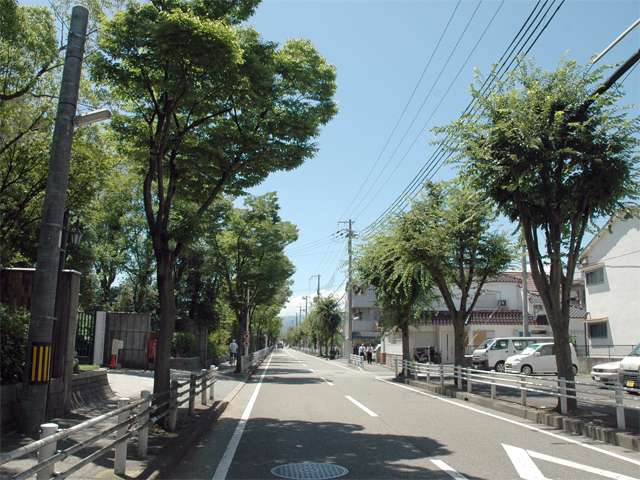 園田学園女子大学前の並木道り。『南塚口町7、8丁目』、『栗山町』周辺は通りから一本中に入ると、道幅が狭く、入り組んでいます。