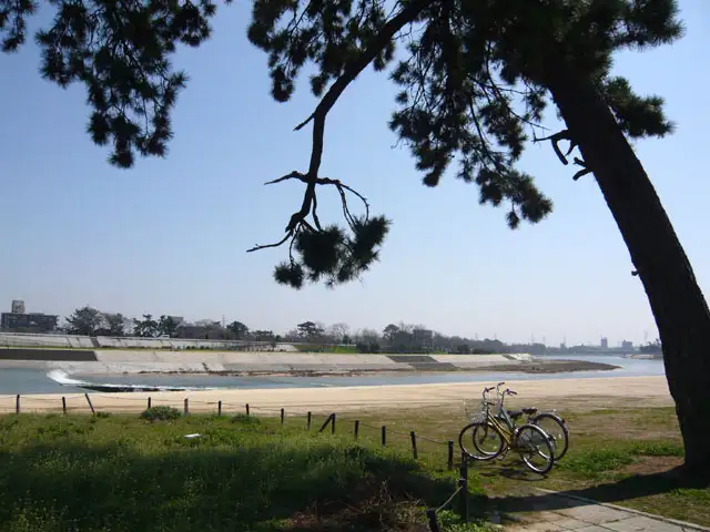 武庫川サイクリングロード。気軽に体を動かすことのできる住環境です。