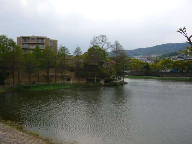 『大池公園』。大きな池の周りがぐるりと遊歩道になっていて、季節の花や草木が豊かな遊歩道になっています