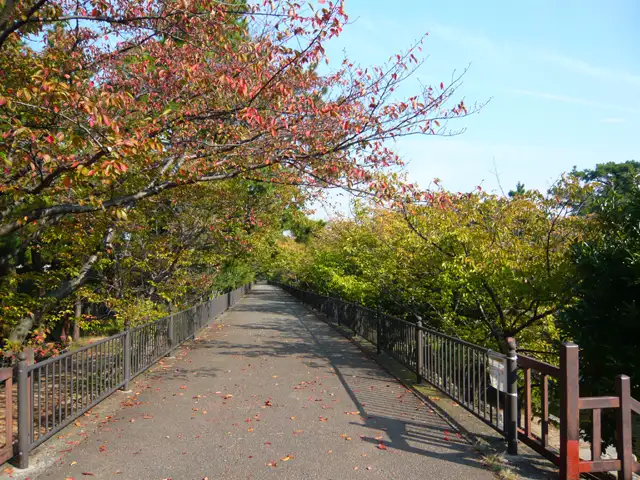 四季折々の自然を感じられる『夙川公園』。