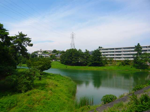 緑豊かで、絶好の散歩コースでもある『ニテコ池』。