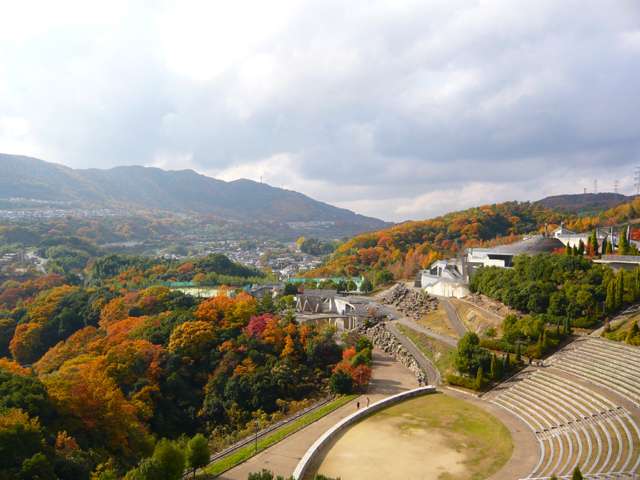 塩瀬中央公園。木々が多く、四季の移ろいを身近に感じられる住環境です。