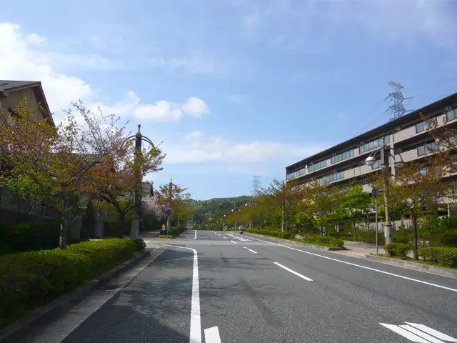 『東山台2丁目』の街並み。マンションと敷地の大きな一戸建てが並び、街路樹が美しいです。
