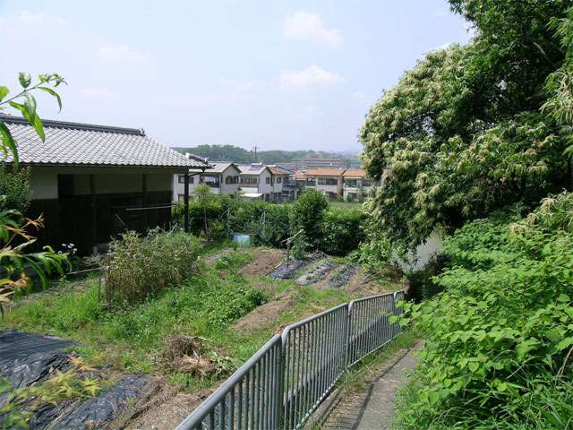 田畑と住宅が混在する『東畦野』周辺