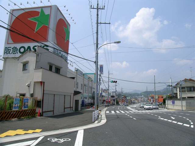 国道173号線沿いには各種店舗が立ち並んでいます。