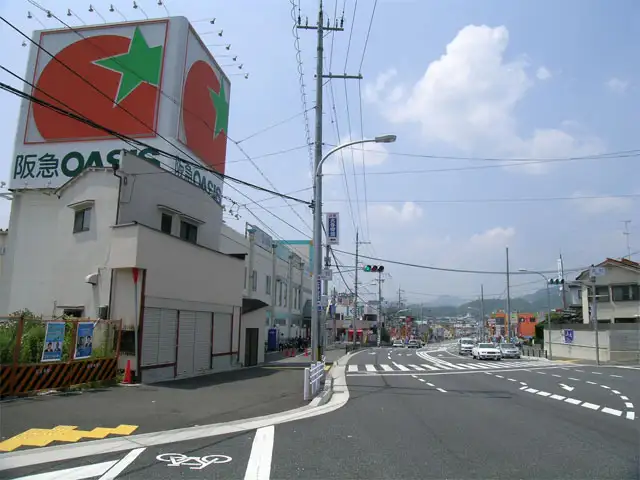 国道173号線沿いには各種店舗が立ち並んでいます。