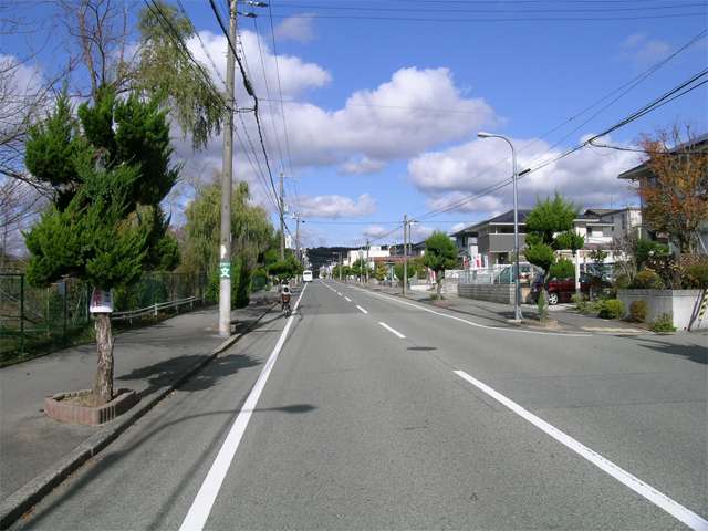 タウン内のバス通り