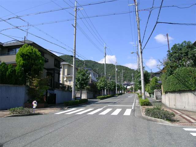 街路樹のきれいなタウン内のバス通り。歩道もあり、歩いていても安心です。