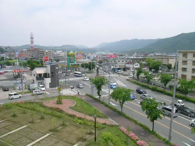 県道川西篠山線。沿道には各種店舗が建ち並んでいます。