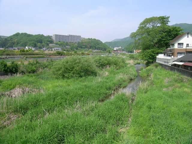 猪名川の支流、余野川。周辺には田畑が広がり、たいへん長閑な雰囲気です。