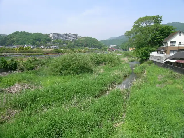 猪名川の支流、余野川。周辺には田畑が広がり、たいへん長閑な雰囲気です。