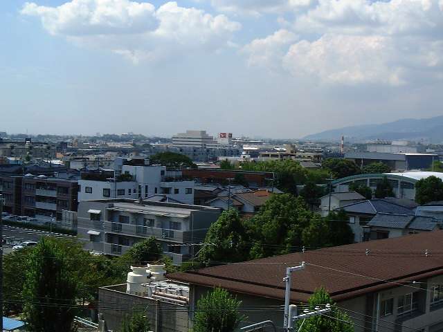 地勢はほぼ平坦。自転車での移動もラクにでき、暮らしやすいエリアです。