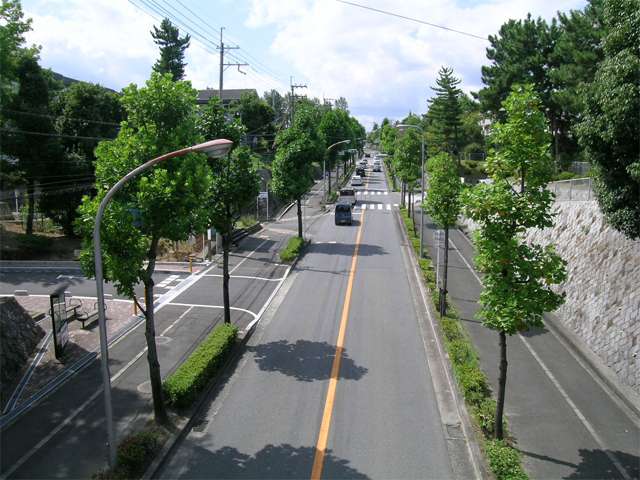 街路樹のきれいな箕面池田線。新御堂筋や阪急「箕面駅」方面にアクセス出来ます。