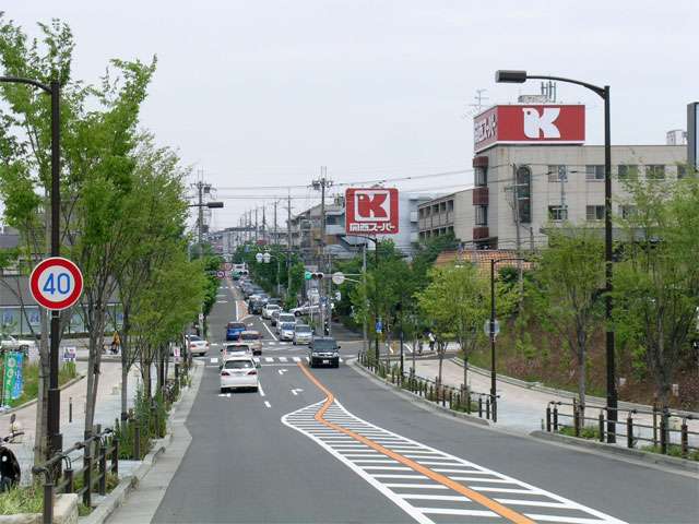 沿道には各種店舗が立ち並んでいます。