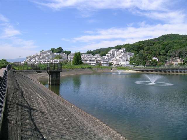 打越池。池の周りに遊歩道があり、お散歩コースにもピッタリです。