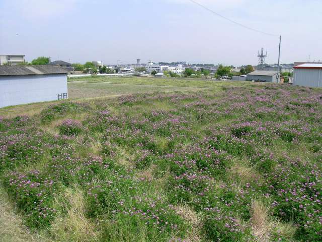 田畑が広がる『石丸』周辺。たいへん長閑な雰囲気です。