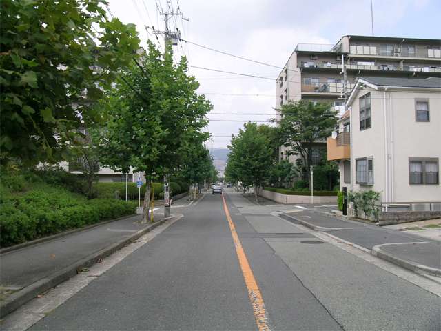 街路樹が美しい『船場西』の住宅地