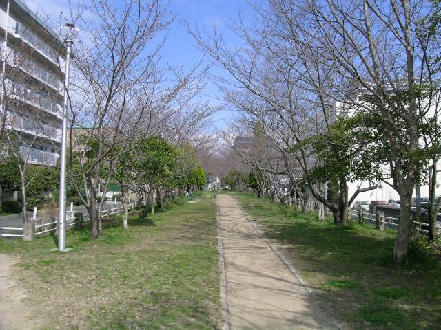 南北に長い『新船場西公園』。春には桜がきれいです。
