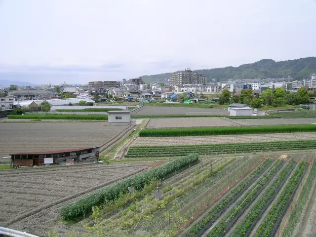 田畑が多い『稲3丁目』周辺。地勢はほぼ平坦で、近くを旧西国街道が通っています。