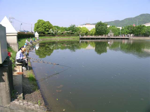 市立中央図書館やメイプルホールに隣接した芦原公園。緑豊かで、のどかな雰囲気です。