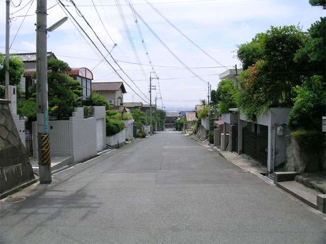 敷地の広い一戸建てが建ち並び、各家の生け垣が街に潤いを与えています。