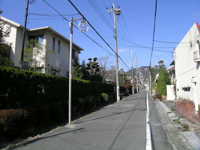 手入れの行き届いた生け垣が続く『田村橋通り』。