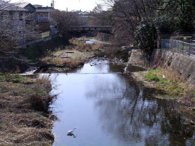 季節の移ろいを感じさせてくれる箕面川と紅葉橋