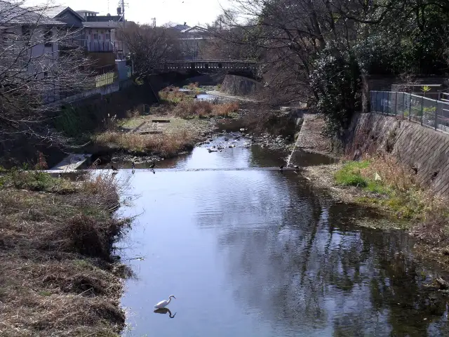 季節の移ろいを感じさせてくれる箕面川と紅葉橋