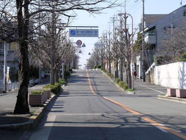 池田市と箕面市を結ぶ並木のきれいな中央線。