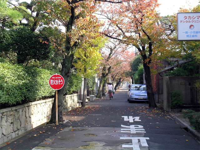 『桜井1丁目』周辺の街並。生け垣や街路樹が多く、たいへん緑豊か。