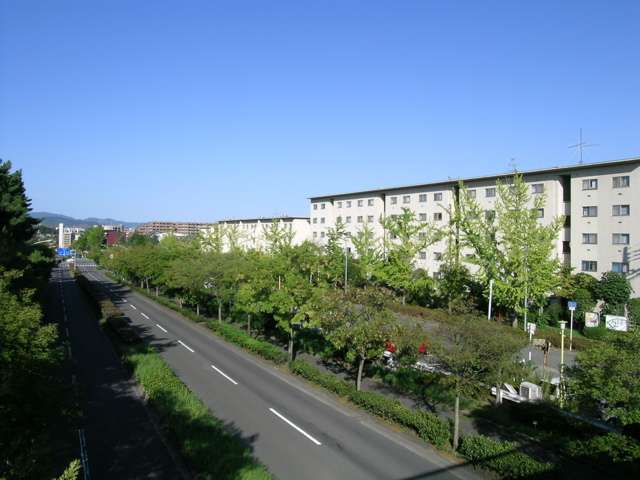 街路樹のきれいな通りが多く、各所に公園や緑地もあります。