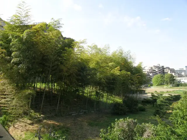 竹林の間を抜ける小道もあり、お散歩コースにもピッタリです。