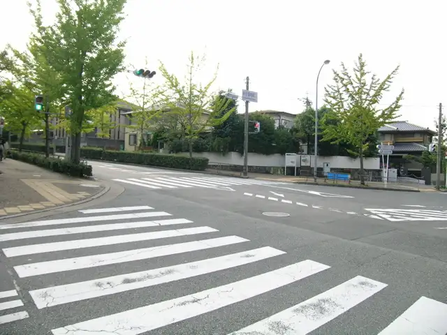 区画が整っており、2車線の通りには歩道があり、街路樹がきれいです。