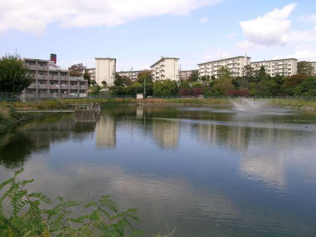 団地に隣接した池。周囲は整備されており、お散歩コースにも最適です。