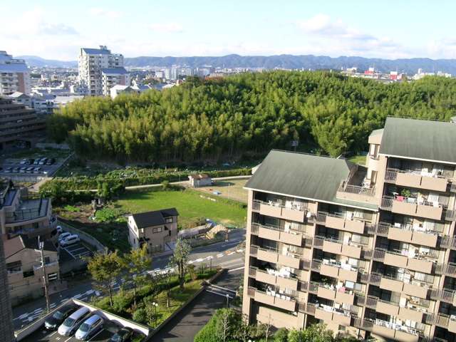 竹林や田畑も多い『東泉丘』周辺。ややアップダウンのある地勢です。