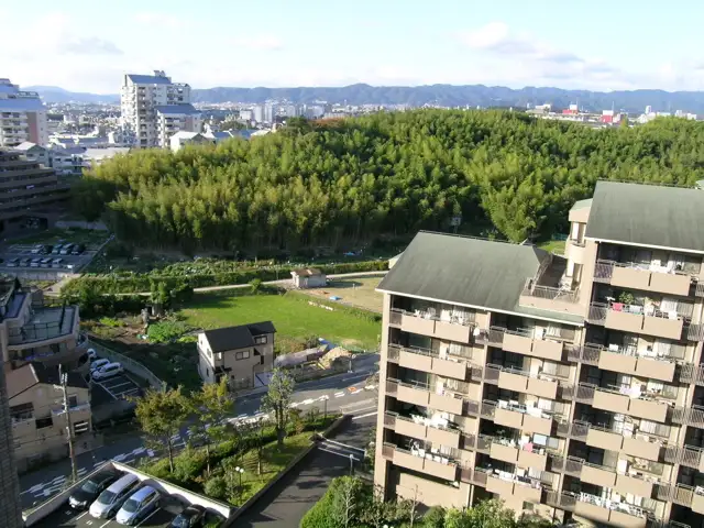 竹林や田畑も多い『東泉丘』周辺。ややアップダウンのある地勢です。
