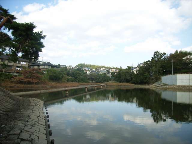 三ツ池、青池などのため池があり、景観に彩りを添えています。