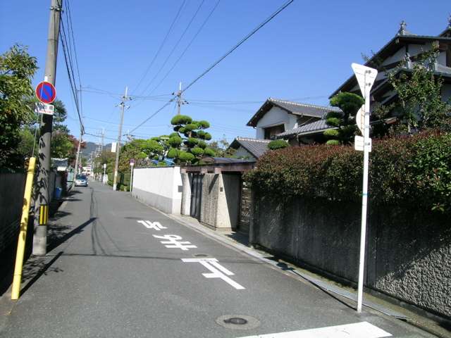区画の整った『清風荘』の町並み。生け垣のある家が多く、緑豊かな印象です。