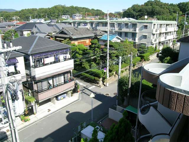 大阪大学のキャンバスや待兼山の周囲は木々に覆われ、たいへん緑豊かです。