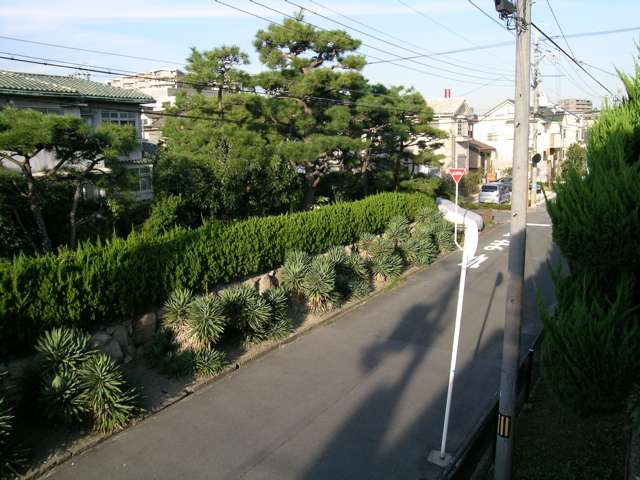 区画の整った『末広町1丁目』周辺。生け垣のある家が多く、緑豊かな印象です。