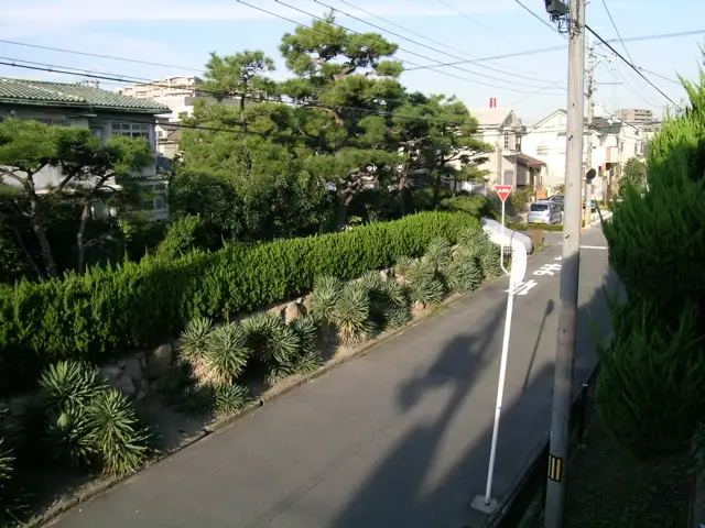 区画の整った『末広町1丁目』周辺。生け垣のある家が多く、緑豊かな印象です。