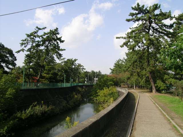 松並木が美しい天竺川。川沿いの道や公園は散歩道、子供の遊び場にもぴったりです。